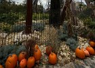 IMG_0225