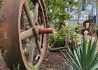 IMG_0232
