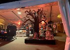 IMG_0476