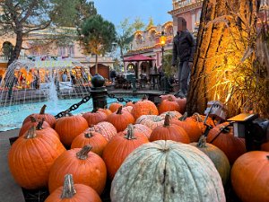 17. Oktober - Park --- am Anreisetag noch ab 16 Uhr im Park